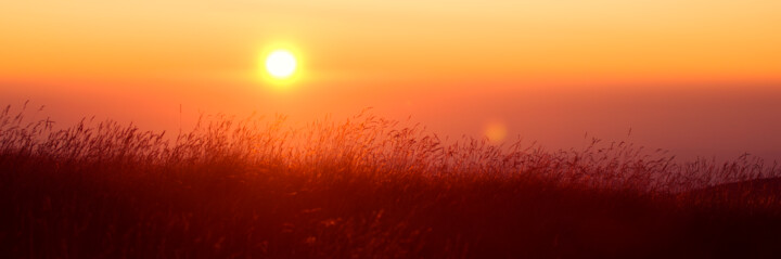 Fotografía titulada "Sunrise on the plain" por Ivan Ponomarevsky, Obra de arte original, Fotografía digital