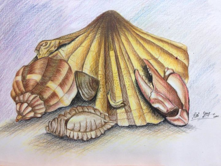 Dibujo titulada "Shell" por Jacob Tham Kai Yang, Obra de arte original, Lápiz