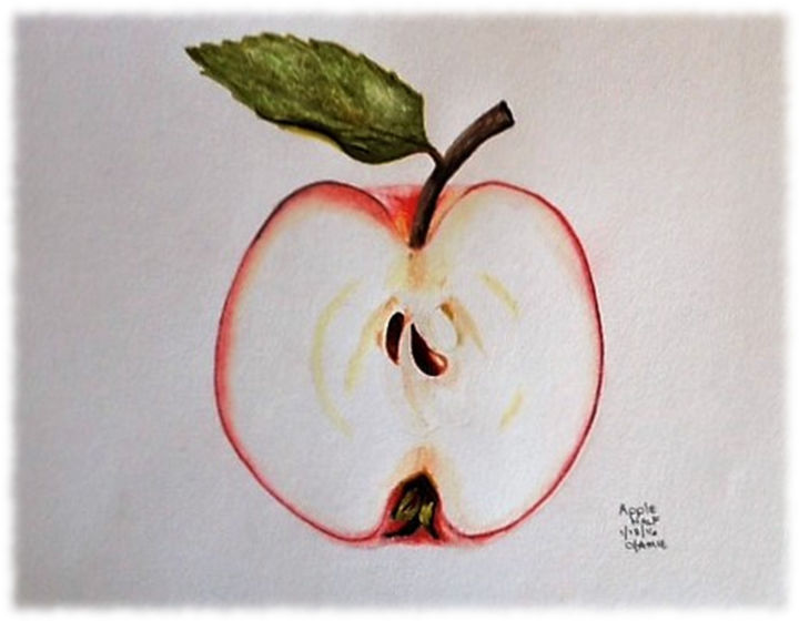 Disegno intitolato "Apple Half" da Jamie Silker, Opera d'arte originale, Matita