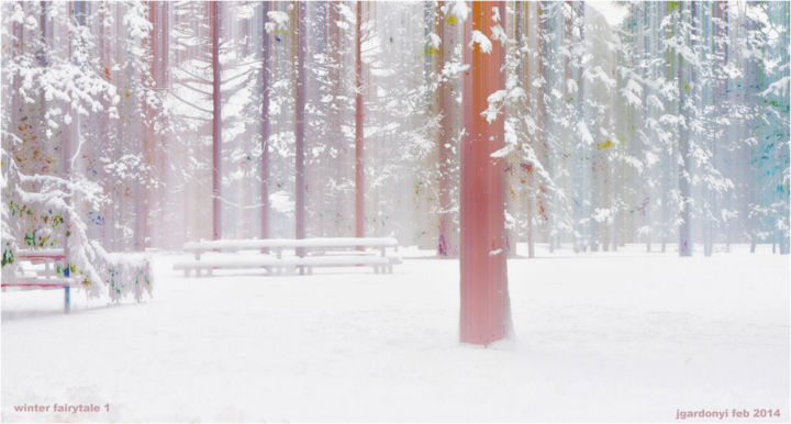 Fotografia intitolato "WINTER FAIRYTALE" da Janos Gardonyi, Opera d'arte originale