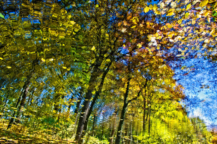 Photographie intitulée "Autumn 2" par Jarek Rufer, Œuvre d'art originale, Photographie numérique