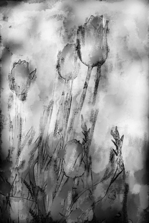Photography titled "Tulipes noires" by Jean-Christophe Mandelli, Original Artwork, Manipulated Photography