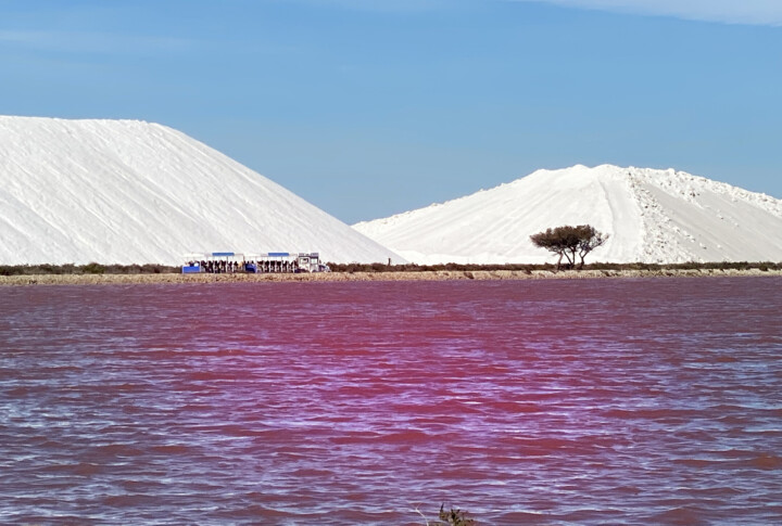 Fotografía titulada "SALINE" por Jean-Claude Mathier, Obra de arte original, Fotografía digital