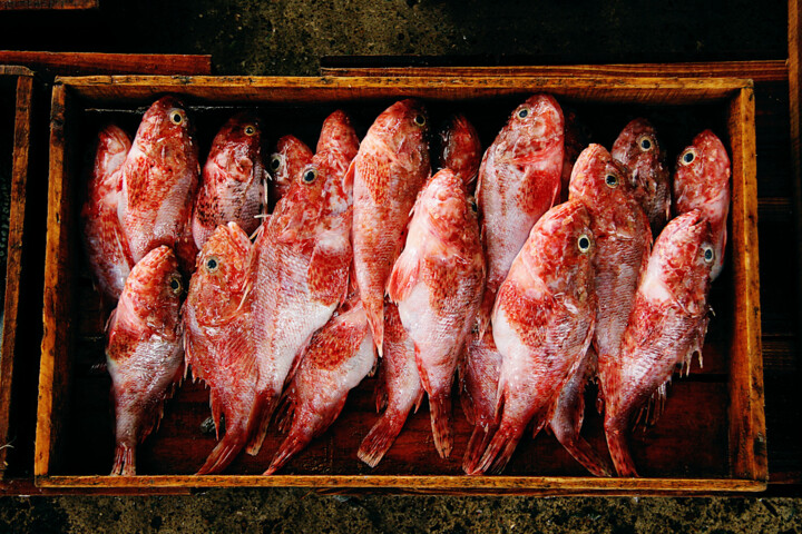 Фотография под названием "Poissons #2, Busan,…" - Jean-Marie Virat, Подлинное произведение искусства, Пленочная фотография