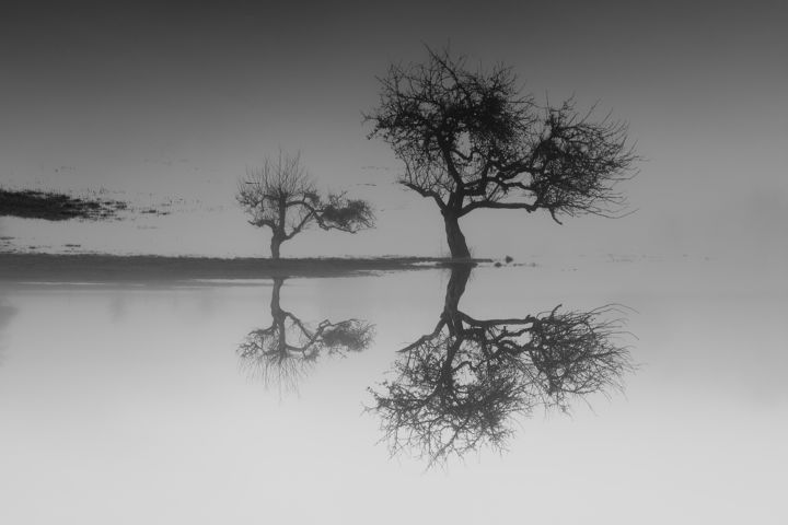 Фотография под названием "Marais de Saône, sé…" - Jrlonghi Photographie, Подлинное произведение искусства