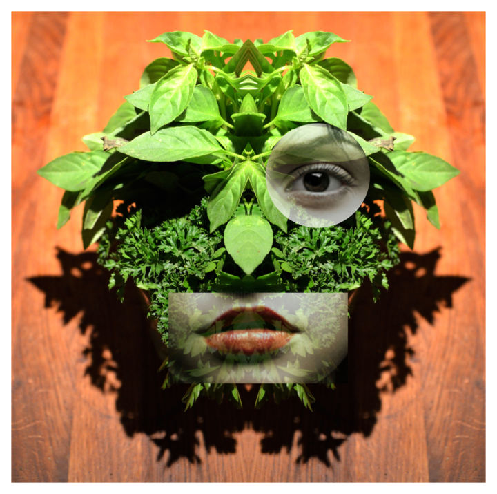 Digitale Kunst getiteld "portrait-vegetal" door Jeff, Origineel Kunstwerk, Foto Montage