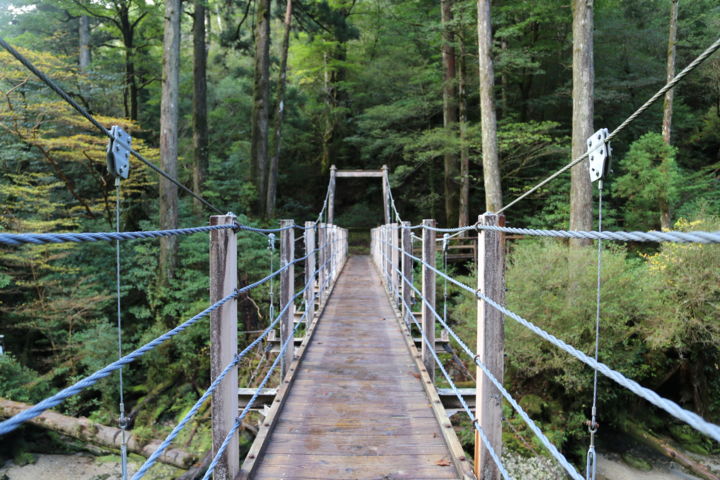 Φωτογραφία με τίτλο "Bridge across the r…" από Jérôme Castaing, Αυθεντικά έργα τέχνης, Ψηφιακή φωτογραφία