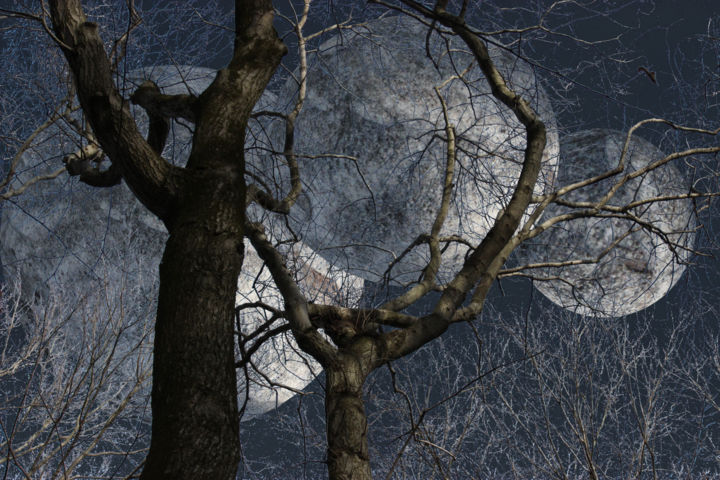 Photography titled "The Season of the F…" by Jim Cureton, Original Artwork, Manipulated Photography