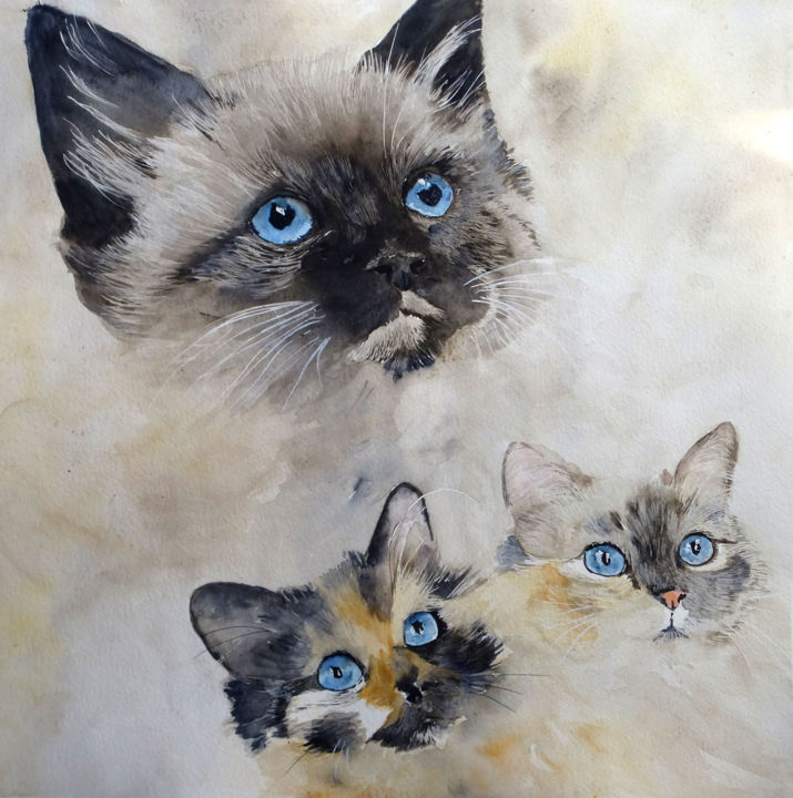 Chats Birmans Painting By Joelle Guillaume Artmajeur