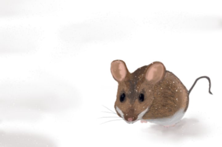 Arts numériques intitulée "Mouse in the snow" par Withy Fox, Œuvre d'art originale, Peinture numérique