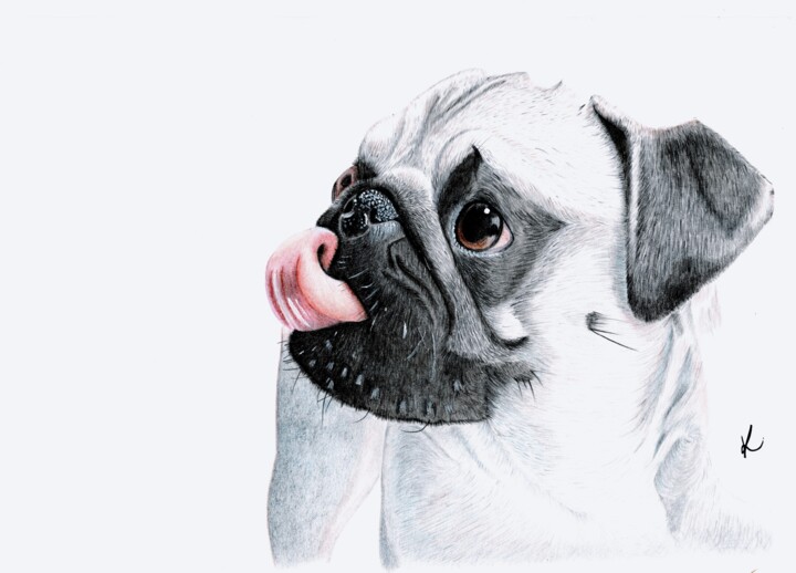 "The Pug" başlıklı Resim Kalli Horn tarafından, Orijinal sanat, Kalem