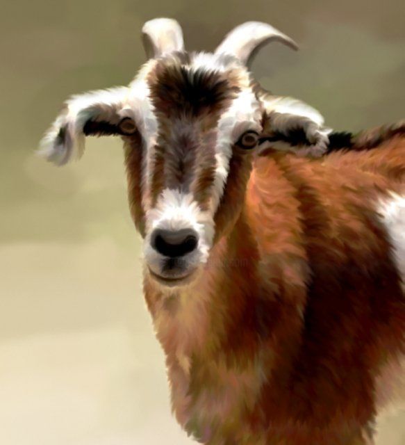 Malerei mit dem Titel "young goat" von Karen Sheltrown, Original-Kunstwerk, Öl