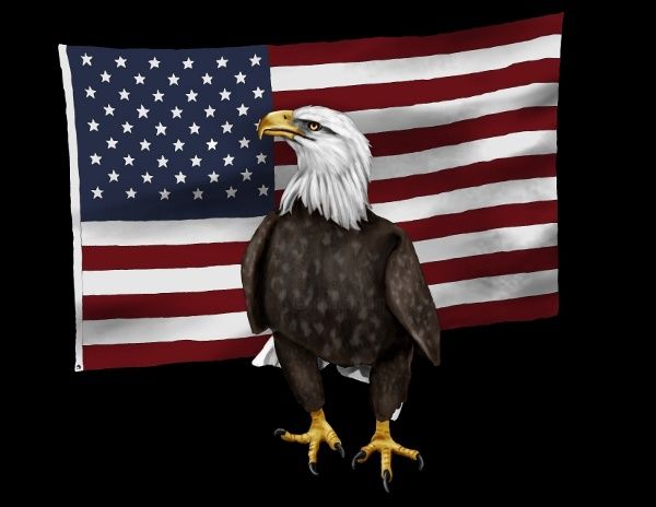 Digitale Kunst getiteld "american eagle" door Karen Sheltrown, Origineel Kunstwerk, Digitaal Schilderwerk
