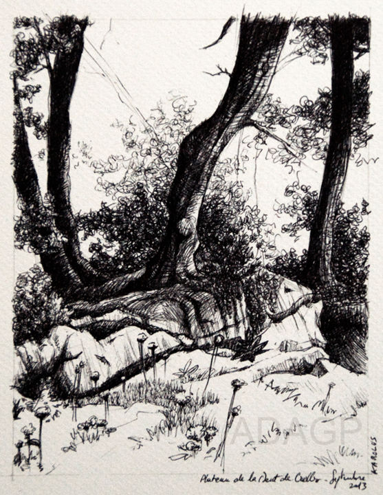 Dibujo titulada "Croquis d'arbres et…" por Karolus, Obra de arte original, Otro