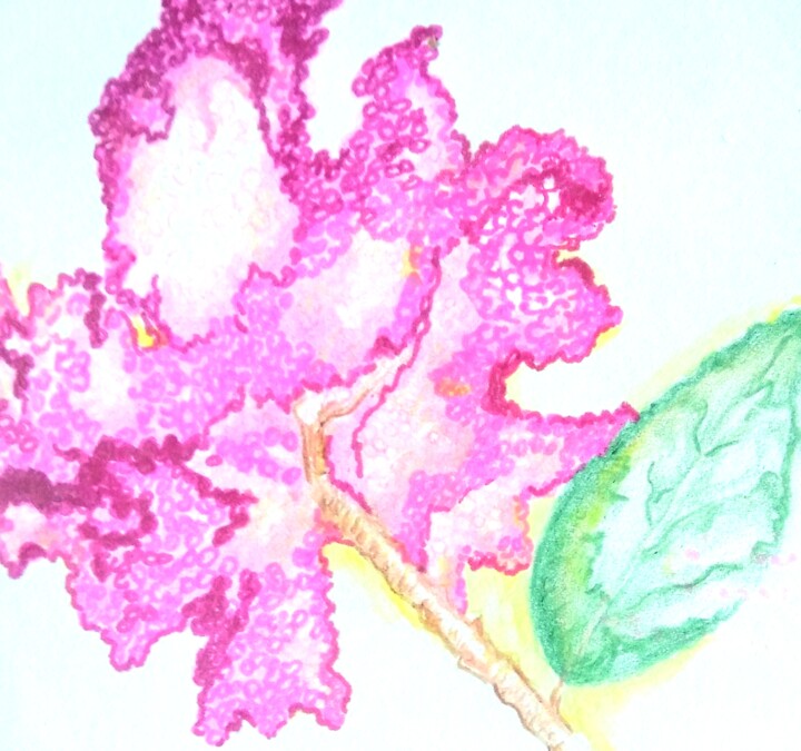 绘画 标题为“Pink Flower” 由Kathia Donaté, 原创艺术品, 铅笔