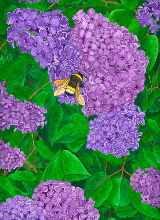 "Lilacs" başlıklı Tablo Kelley Hudson tarafından, Orijinal sanat, Suluboya