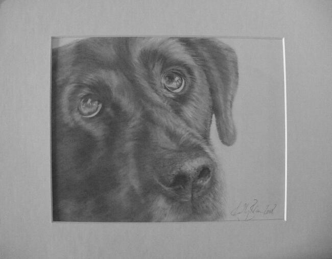 Disegno intitolato "Black lab" da Kelly Brown, Opera d'arte originale