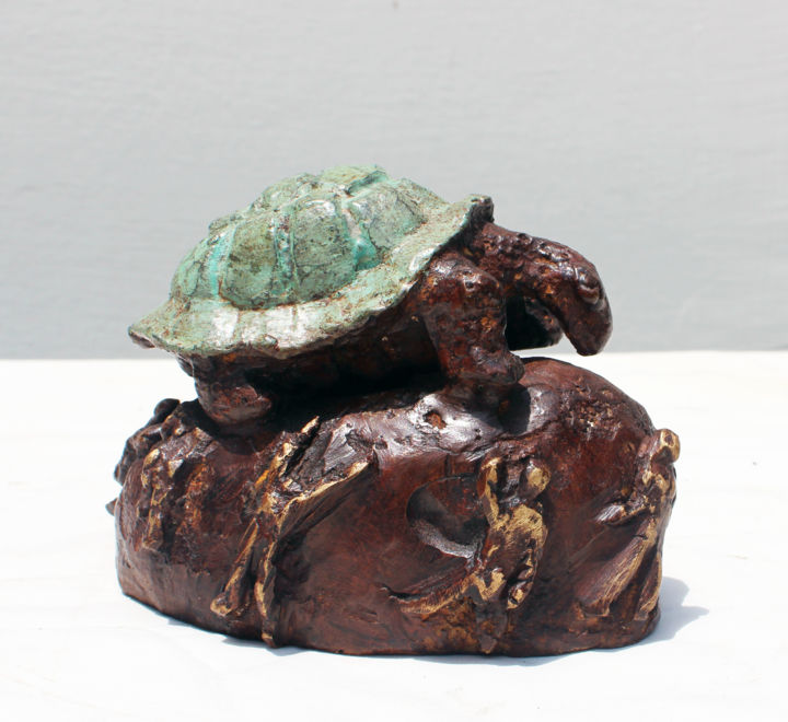coahuilan box turtle