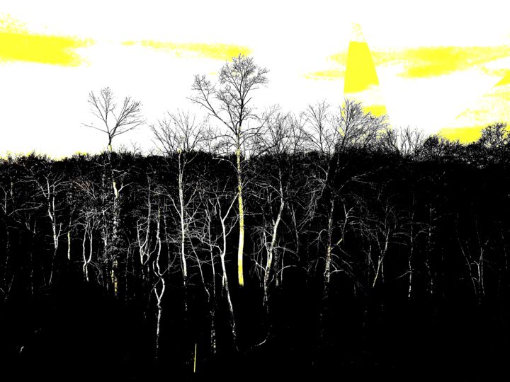 摄影 标题为“Yellow Sky Forest” 由Llewellyn Berry, 原创艺术品, 数码摄影