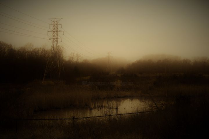 Photography titled "Marsh Portrait" by Llewellyn Berry, Original Artwork, Digital Photography