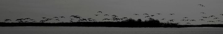 Photography titled "Geese on the Horizo…" by Llewellyn Berry, Original Artwork, Digital Photography