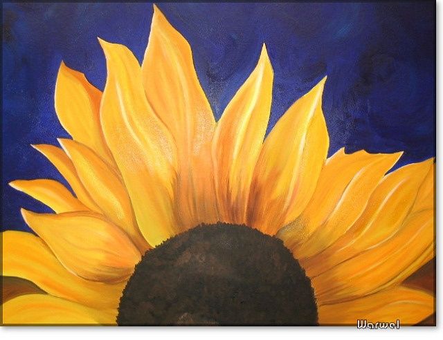 sunflower oil pastel