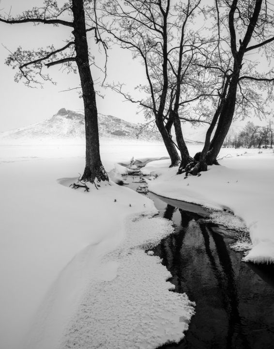 Photographie intitulée "Japanese Motive" par Dmitriy Kochergin, Œuvre d'art originale, Photographie numérique