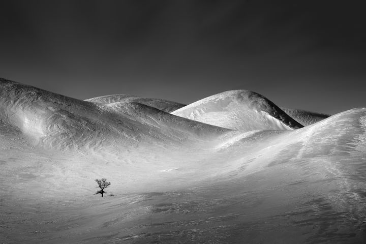 "Frozen Dunes #2" başlıklı Fotoğraf Dmitriy Kochergin tarafından, Orijinal sanat, Dijital Fotoğrafçılık