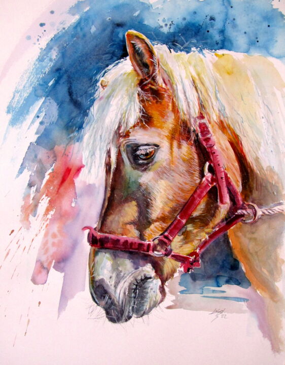 「Horse」というタイトルの絵画 Anna Brigitta Kovacs (KAB)によって, オリジナルのアートワーク, 水彩画