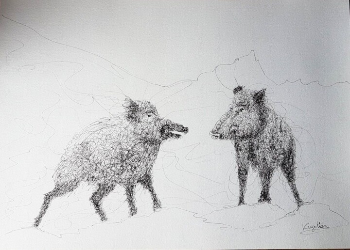 Drawing titled "boars" by Krystian, Original Artwork, Ink