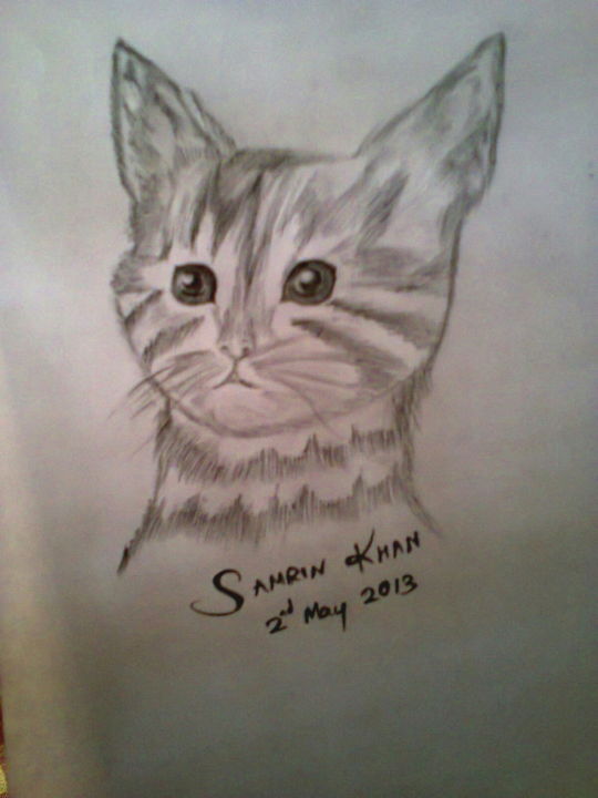 Dibujo titulada "Kitty.jpg" por Samrin Khan, Obra de arte original