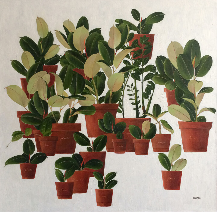 Pintura titulada "Houseplants. Ficus" por Kseniia Berestova, Obra de arte original, Oleo