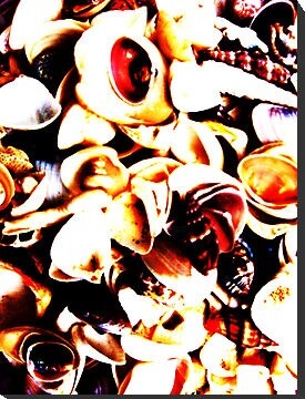 Photography titled "Shells" by Ladymouse, Original Artwork, Manipulated Photography