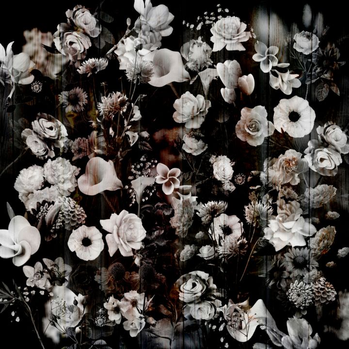 Цифровое искусство под названием "Night dark garden" - Larisa Siverina, Подлинное произведение искусства, Цифровой коллаж
