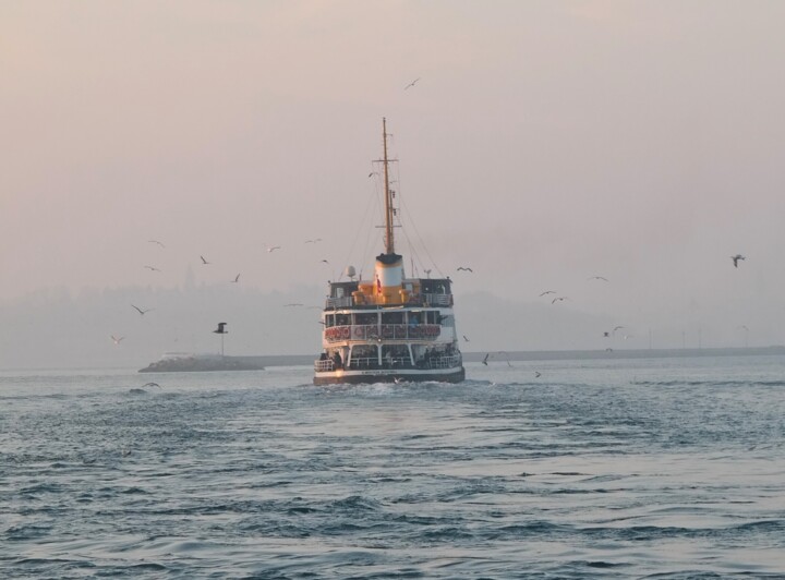 Photographie intitulée "A ferry in Istanbul" par Lavinia, Œuvre d'art originale, Photographie non manipulée