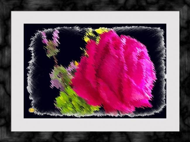 Photography titled "Flore-6AB" by Hamid Jamari, Original Artwork