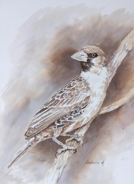Painting titled "Bird on a Branch" by Leonora De Lange, Original Artwork, Ink