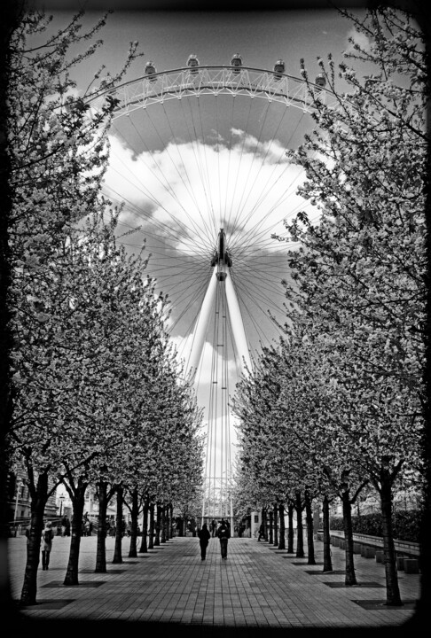 「London eye」というタイトルの写真撮影 Leopold Brixによって, オリジナルのアートワーク, デジタル