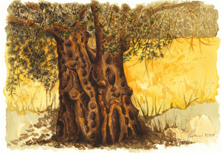 Drawing titled "Baumstudie 16 Olive…" by Lilla Varhelyi, Original Artwork, Ink
