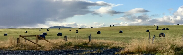 Photography titled "Harvest" by Lisa Trevino, Original Artwork, Digital Photography