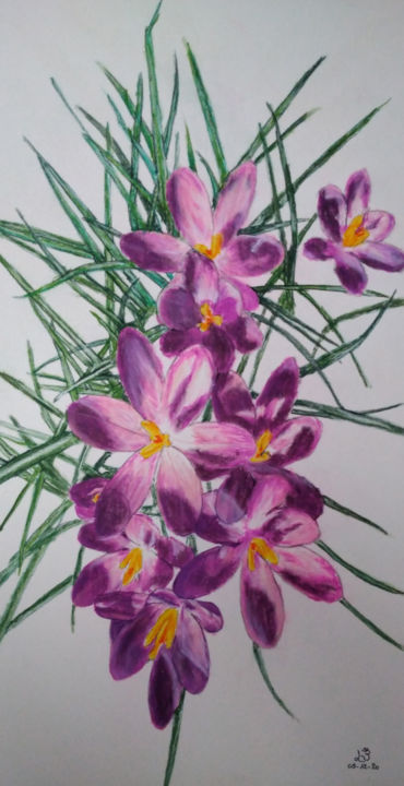 Dessin intitulée "Crocus" par Marc Lavigne, Œuvre d'art originale, Pastel