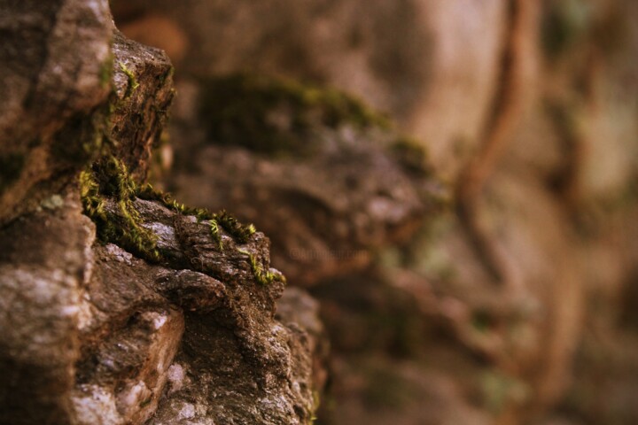 Фотография под названием "roccia macro" - Lorenzo Corti, Подлинное произведение искусства, Цифровая фотография