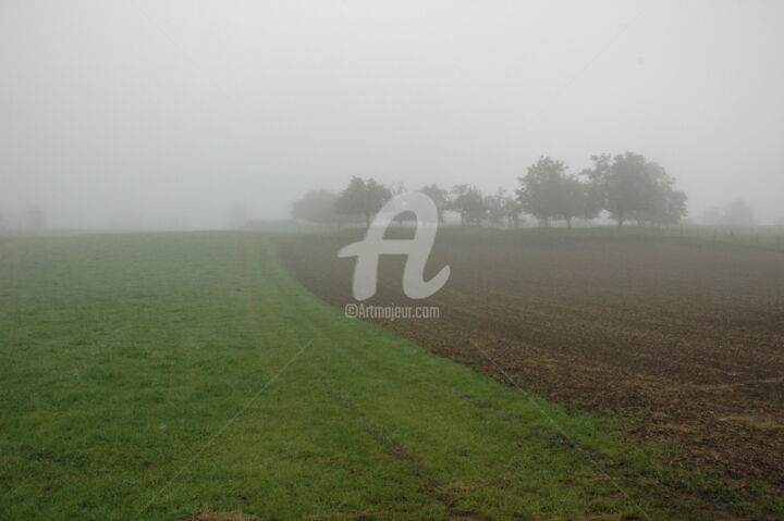 Fotografía titulada "Brouillard" por Lorraine Holcroft, Obra de arte original, Fotografía digital