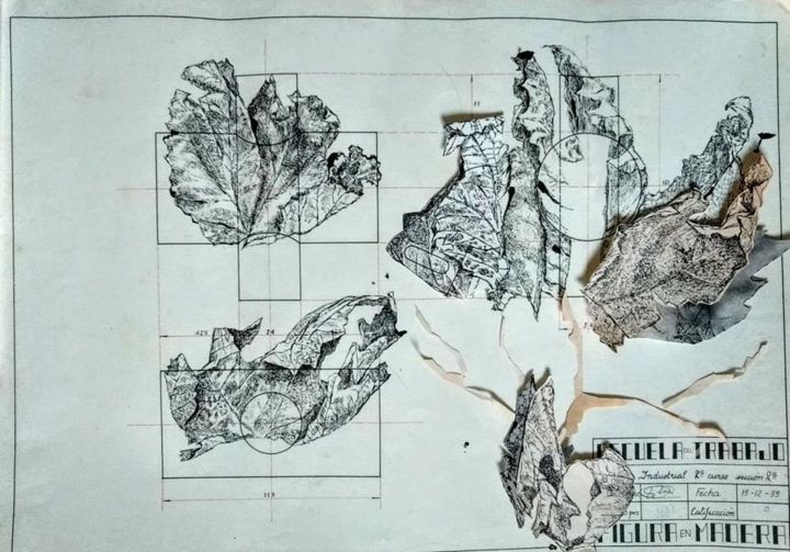 Tekening getiteld "Série "Chemins de f…" door Lou Le Cabellec, Origineel Kunstwerk, Inkt