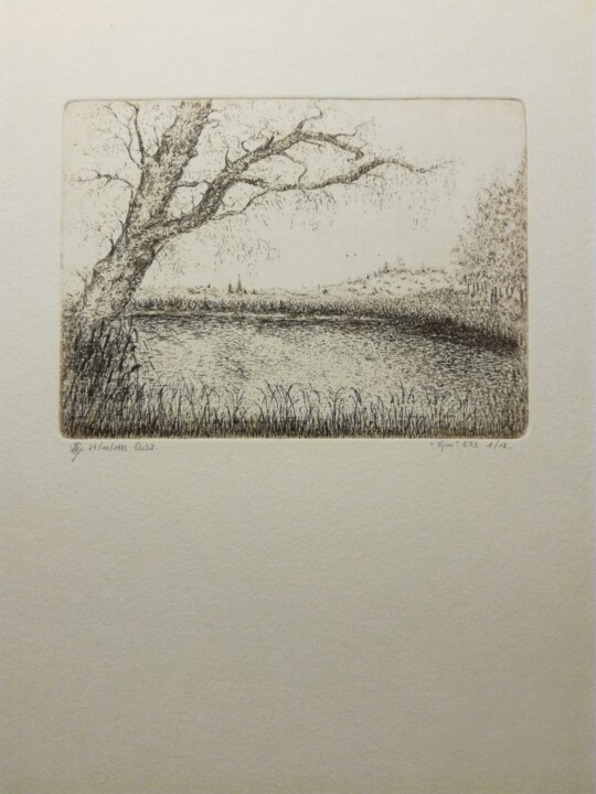 Printmaking titled "vijver" by Lucienne Van Sande, Original Artwork, Etching