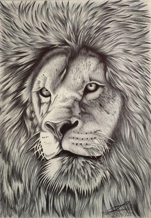 Leão, Desenho por Luiz Canarins | Artmajeur