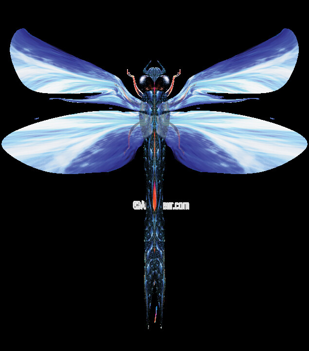 Artes digitais intitulada "Blue Dragonfly No.1" por Łukasz Pawlicki, Obras de arte originais, Pintura digital