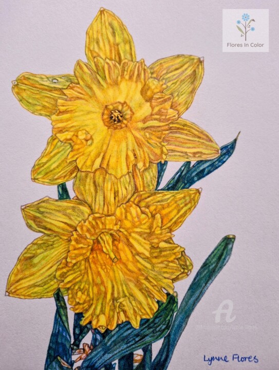 Ζωγραφική με τίτλο "Two yellow daffodil…" από Lynne Flores, Αυθεντικά έργα τέχνης, Μολύβι