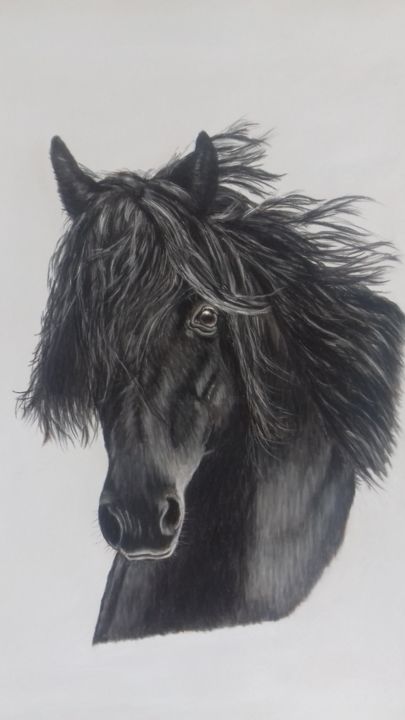 Peinture intitulée "Belle crinière noire" par Portraits Animaliers, Œuvre d'art originale, Pastel