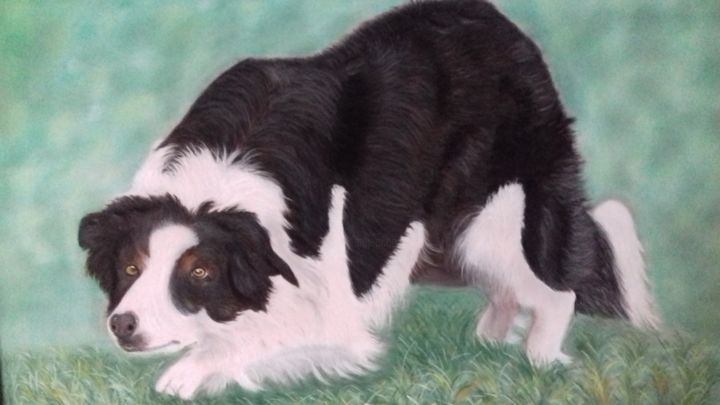 Painting titled "Border Collie" by Portraits Animaliers, Original Artwork, Pastel
